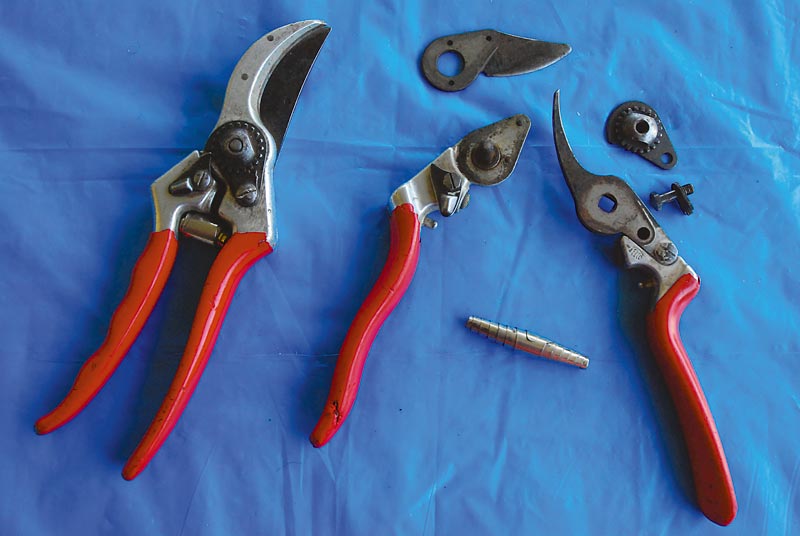 http://www.michigangardener.com/wp-content/uploads/how-to-sharpen-hand-pruners-disassembled-pruners.jpg