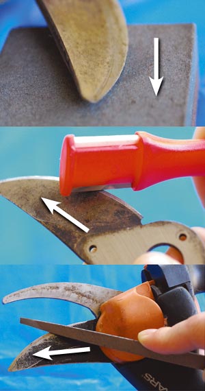 http://www.michigangardener.com/wp-content/uploads/how-to-sharpen-hand-pruners-sharpening-blades.jpg