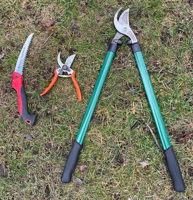 Basic tools for dormant pruning: a sharp hand saw, small bypass pruners, and bypass loppers.