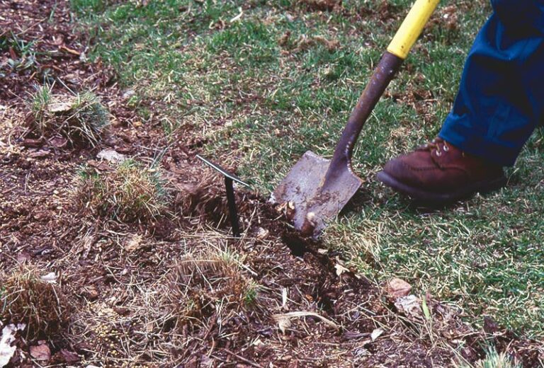 Michigan Gardener - Your guide Great Lakes gardening: Garden Event ...